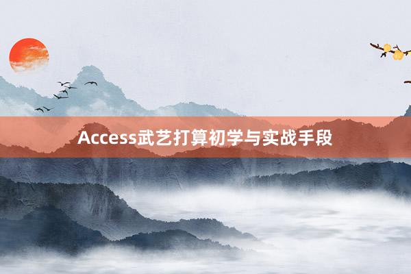Access武艺打算初学与实战手段