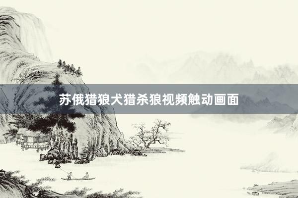 苏俄猎狼犬猎杀狼视频触动画面
