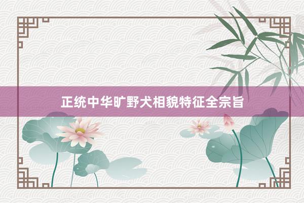 正统中华旷野犬相貌特征全宗旨