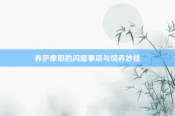 养萨摩耶的闪耀事项与饲养妙技